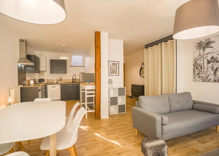 Duplex Pasteur - 2 - Privee * Troyes